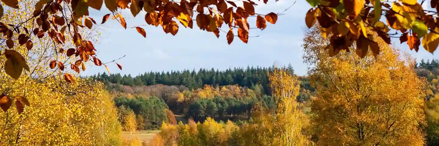 Herfst