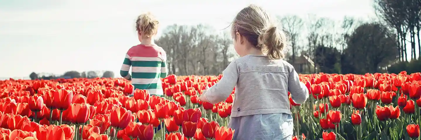 Voorjaarsvakantie